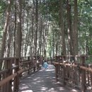 늘솔길공원입구 네이버블로그