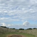 몸튼튼 맘튼튼 건강 숲 체험 | [튼튼맘 태교여행] 11월 제주도서쪽 임산부 가볼만한곳! 금오름 추천 (25주차 이하 추천)