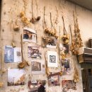 연의양과 이미지