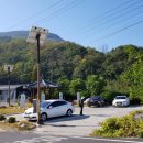 신동아양봉산업 이미지