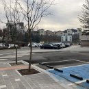 영흥초등학교 선재분교 이미지