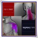 서포한의원 이미지