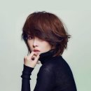 와이티브이 이미지
