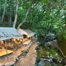 하뫼울 | 수원근교 아기랑 가기좋은 용인 금어리계곡 하뫼울 (평상예약방법, 6월말방문후기)