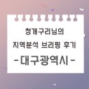 에코환경 | 청개구리님의 지역분석 브리핑 후기_대구광역시