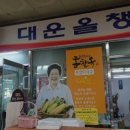대운올챙이 이미지