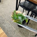진짜순대집 | 은파호수공원맛집 군산로컬 찐맛집! 군산대 근처 가성비 최고 순대국밥집 후기