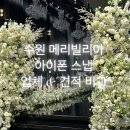 아더포레 | [견적 후기] 아이폰 스냅 업체별 견적 정리 | 메리빌리아 수원 아이폰 스냅 추천 | 아이폰 스냅 견적 공유