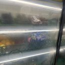 진도청과 이미지