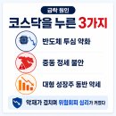 동성바이오(주) | 코스닥 급락 이유, 750선 붕괴와 매도 사이드카 발동