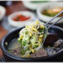 제주순풍해장국함덕점
