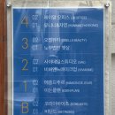홍대 눈썹 스튜디오 오벨리아 연남동 눈썹 맞춤 디자인 후기
