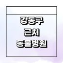 도담동물병원 | 서울 강동구 근처 동물병원 추천 잘하는곳 정보...중성화 수술 강아지 치료 24시 후기 공휴일 새벽 비용