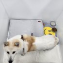 더봄(the봄) 이미지