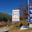비발디송어골