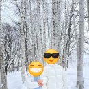 준독 | 삿포로 비에이투어 인디고트래블 갸루상 겨울시즌 버스투어 후기