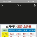 스카이차 사용