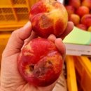 이산농장 이미지