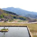 읍내삼거리 이미지