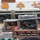일육수석