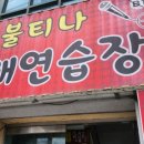 도미솔노래연습장 이미지