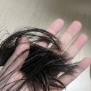 헤씨드