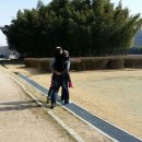 태화초등학교 Daum카페