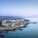 해외 휴양지 부럽지 않은 오션뷰 아난티 앳 부산 코브 힐링 숙소 기장 여행