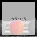 한걸음케어 네이버블로그