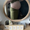 💎[춘천] 눕눕 누워서 다이어트 ‘에스코핏’ 찐 후기(산후관리)