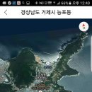 바다나라 이미지