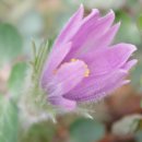 꽃집민박 이미지