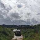 뿌리생선국수 이미지