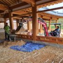 란스테이 이미지