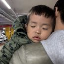 노한도 농장 네이버블로그
