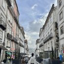 카페일루이스 | 포르투갈 여행 코스 총정리 포르투 여행 동루이스다리 렐루서점까지