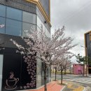 아모르관광호텔 | 창원 진해 숙소 추천 진해 아모르 관광호텔 패밀리룸 후기