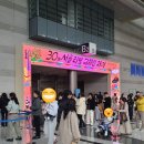 30주년 서울리빙디자인페어 후기, 가구및소품 트렌드 분석