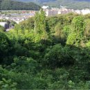 초월읍-10 이미지