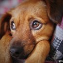 월드크리닝 해운대지사 이미지