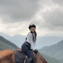 알프스게임하우스 | 말타고 오르는 한국의 알프스