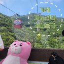 거제 파노라마 케이블카 가격 후기/ 전망 좋은 카페 브라운 핸즈