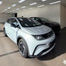 화이트돌핀 | BYD 돌핀 시승 및 색상 디자인 실물 후기