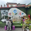 막줄래국시