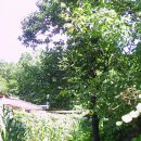 박곡농장 이미지