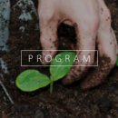 고향뜰 농장 이미지