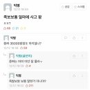족보삼 이미지