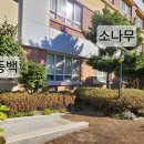 고촌로28번길 이미지