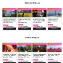 MPC | 미국 입국심사 영어 질문 리스트 mpc 후기 la 여행 준비물 이스타 esta 신청 비자 발급 LA 공항 이심 esim