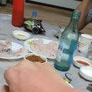 고니민박 이미지